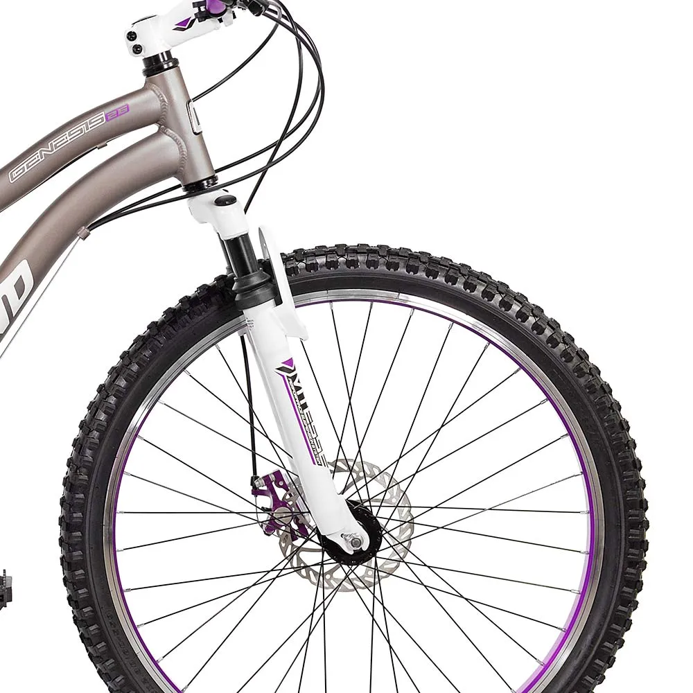 26" Genesis Whirlwind, Replacement Fork