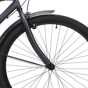 29" Kent Bayside, Replacement Fork