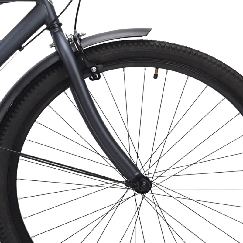 29" Kent Bayside, Replacement Fork