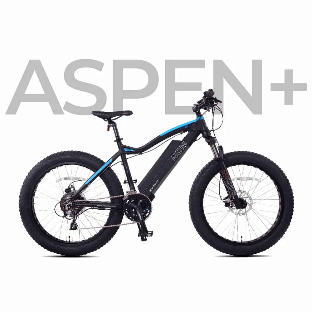 Aspen Plus E-Bike
