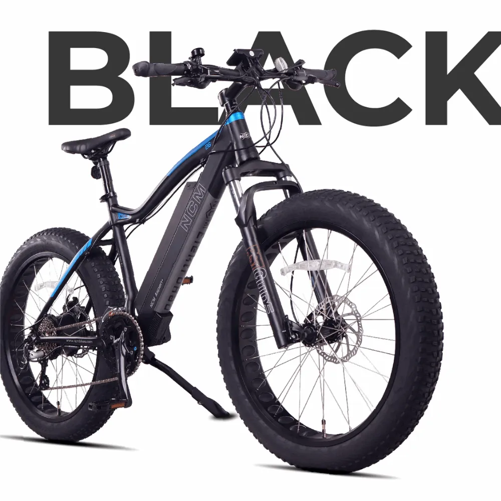 Aspen Plus E-Bike