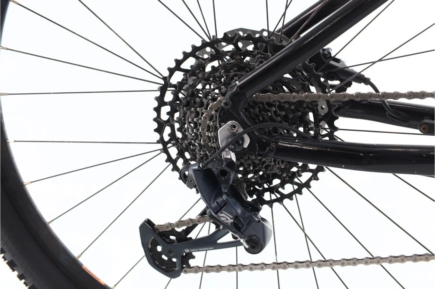 Bianchi T-Tronik Sport 2023