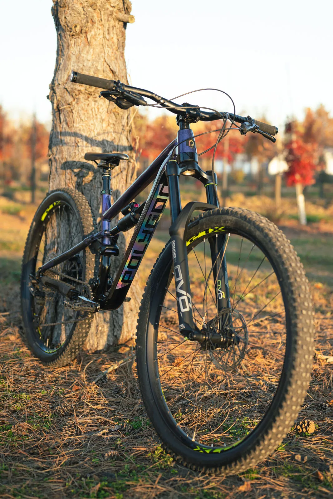 DVO Suspension Diamond D1 Fork - 51mm