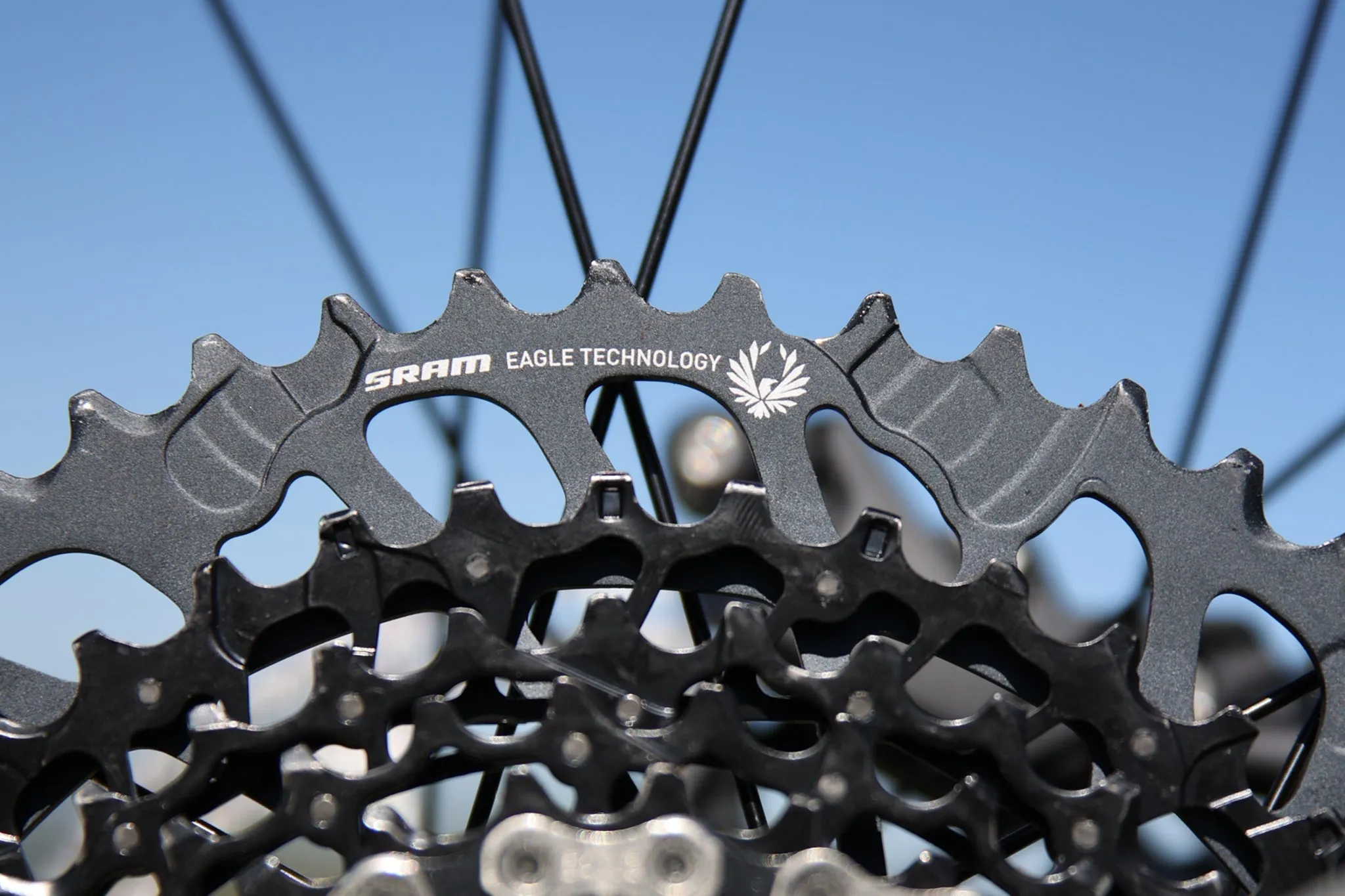 Elevator 29" Hardtail (2025)