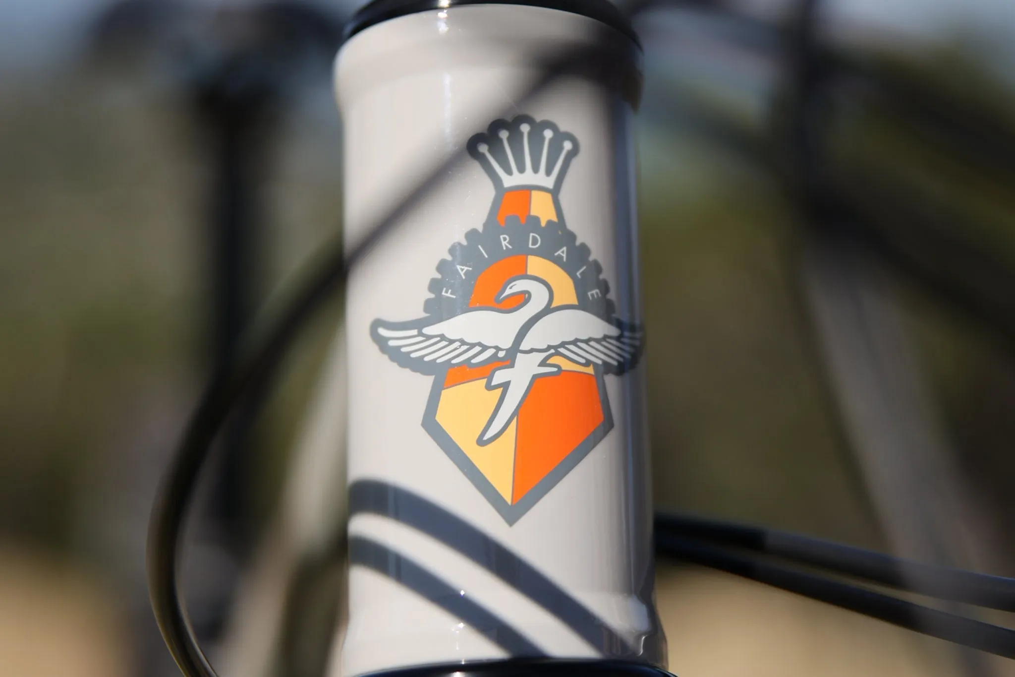 Elevator 29" Hardtail (2025)