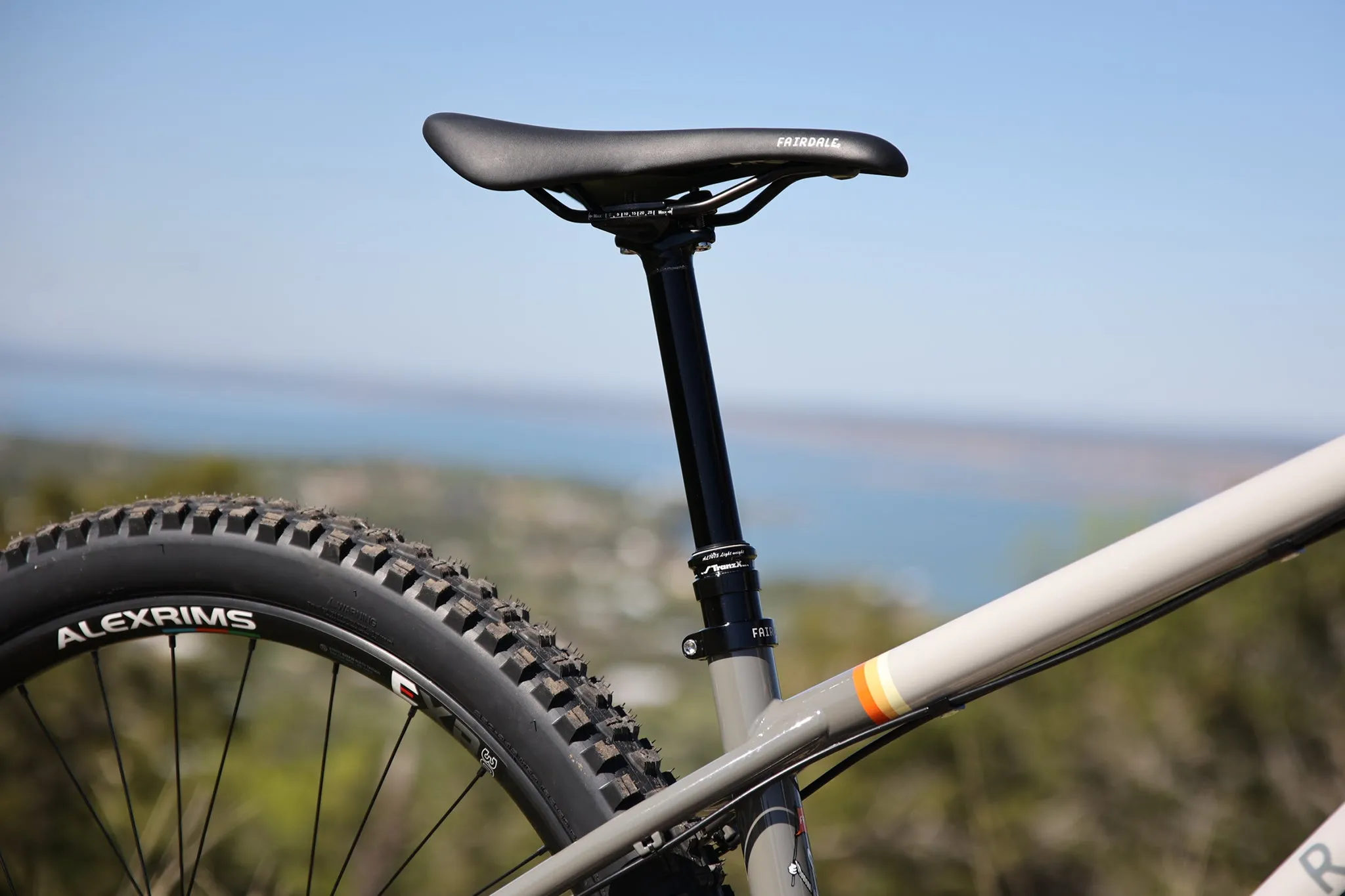 Elevator 29" Hardtail (2025)