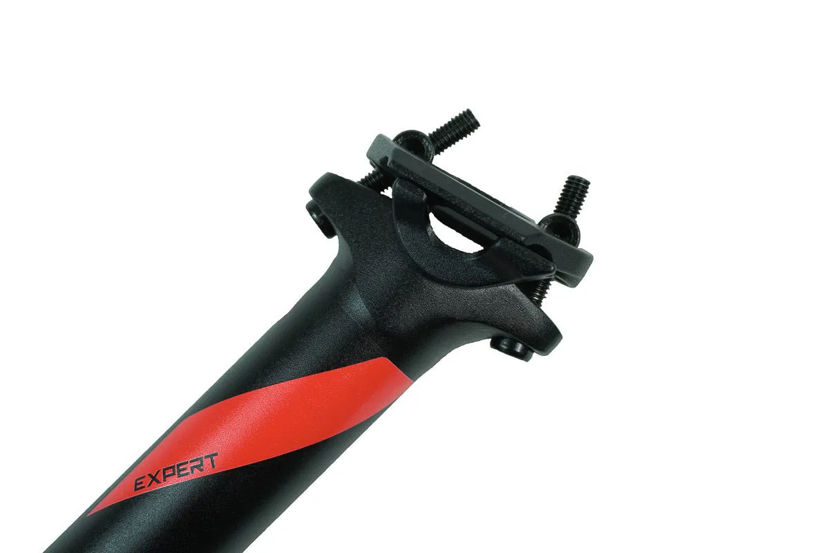 Entity Expert Seatpost
