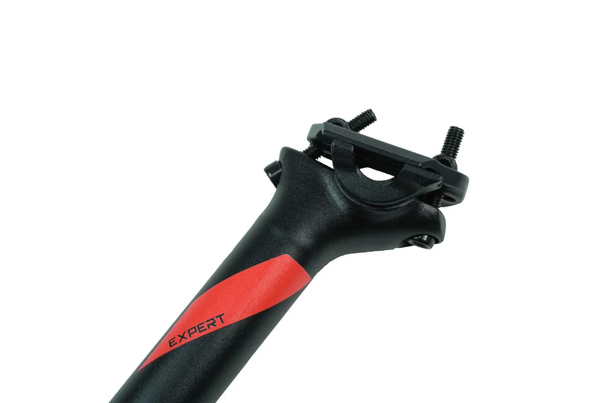 Entity Expert Seatpost