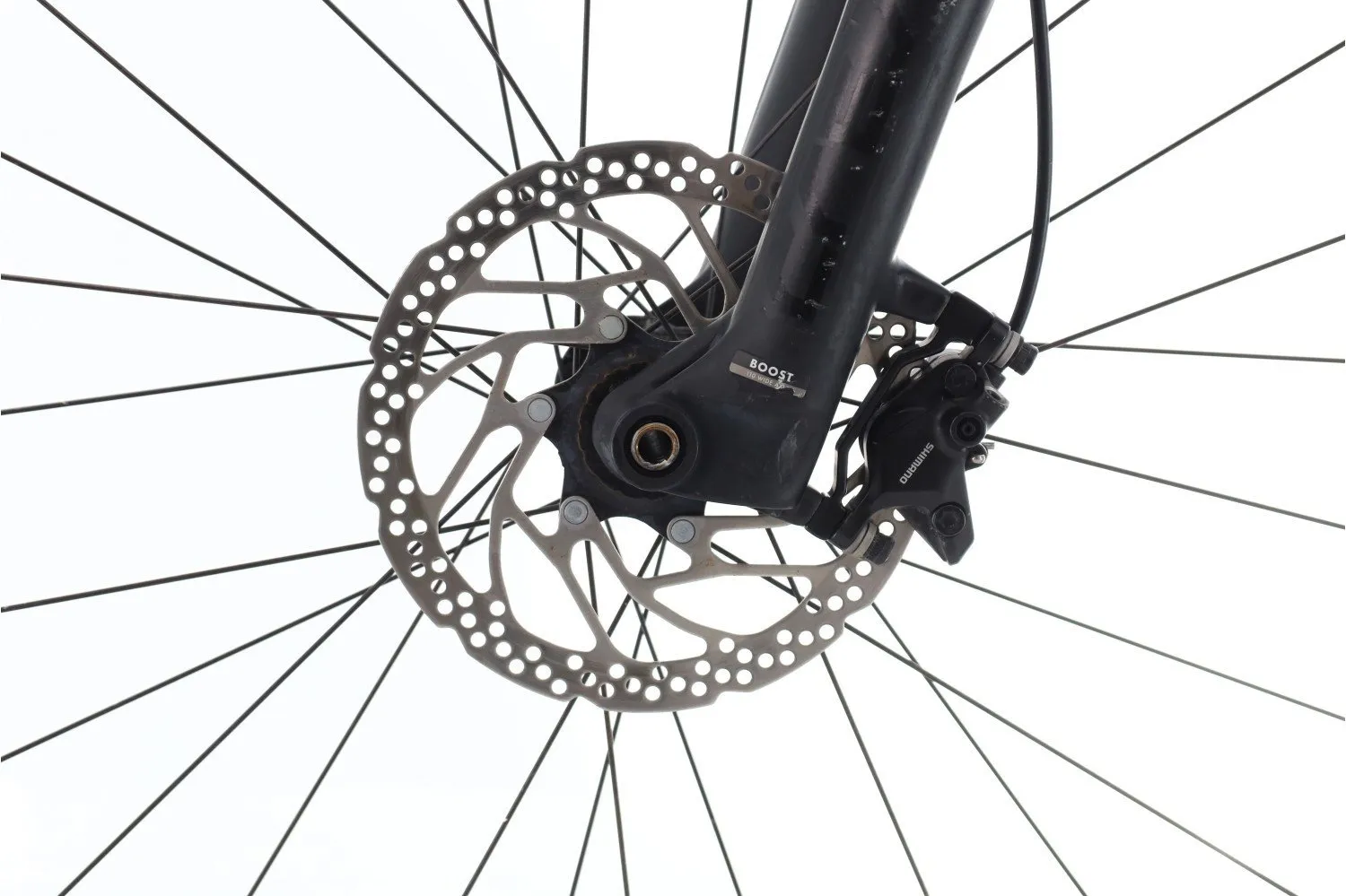 Giant C 2023