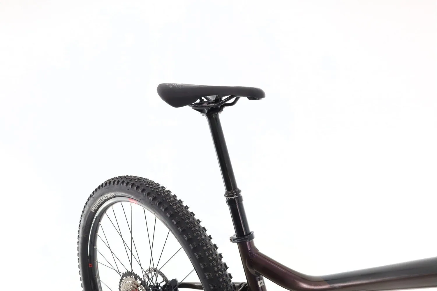 Giant Stance 1 2022