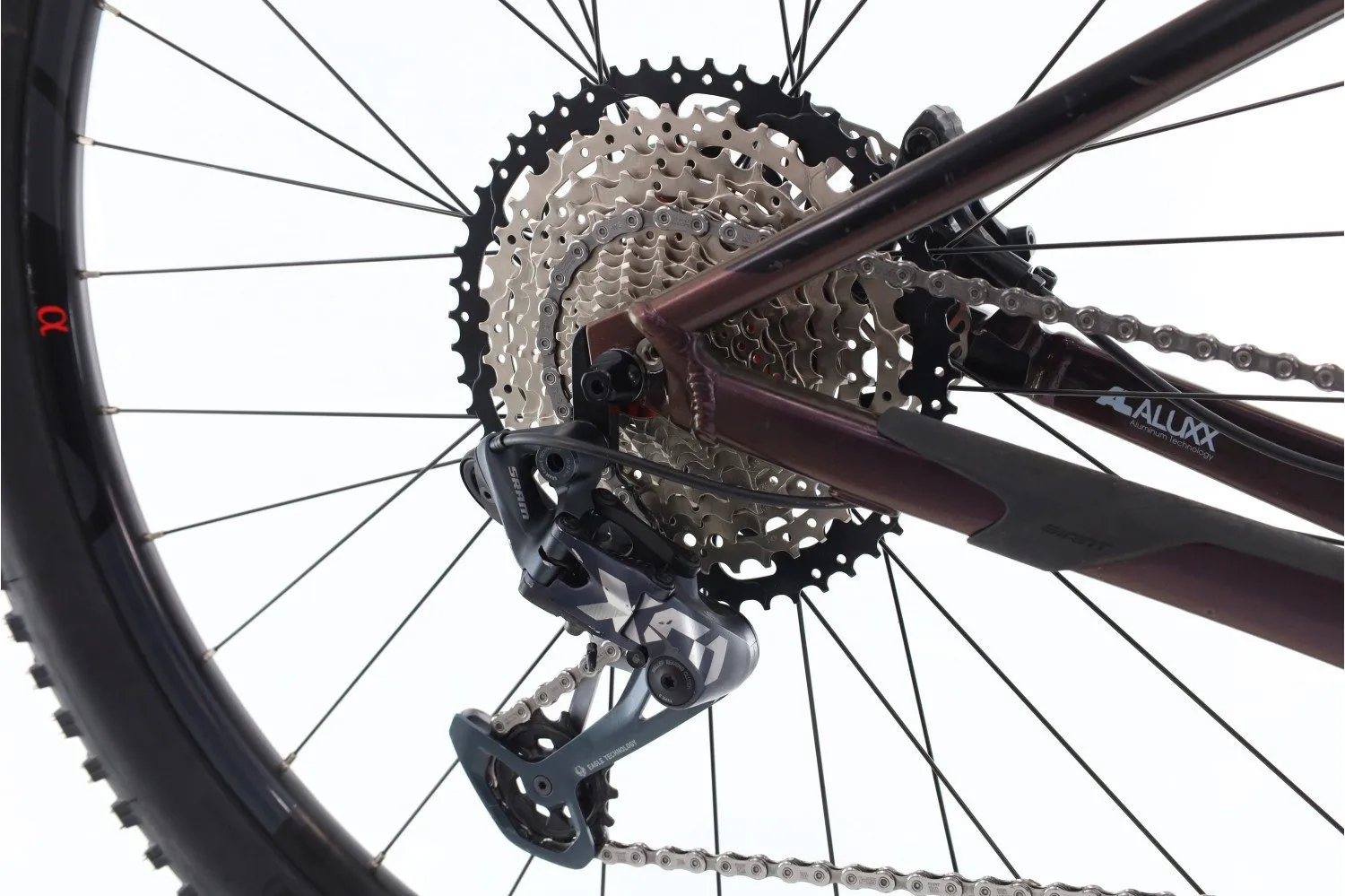 Giant Stance 1 2022