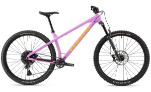 Haro Saguaro 2 - Hardcore Hardtail
