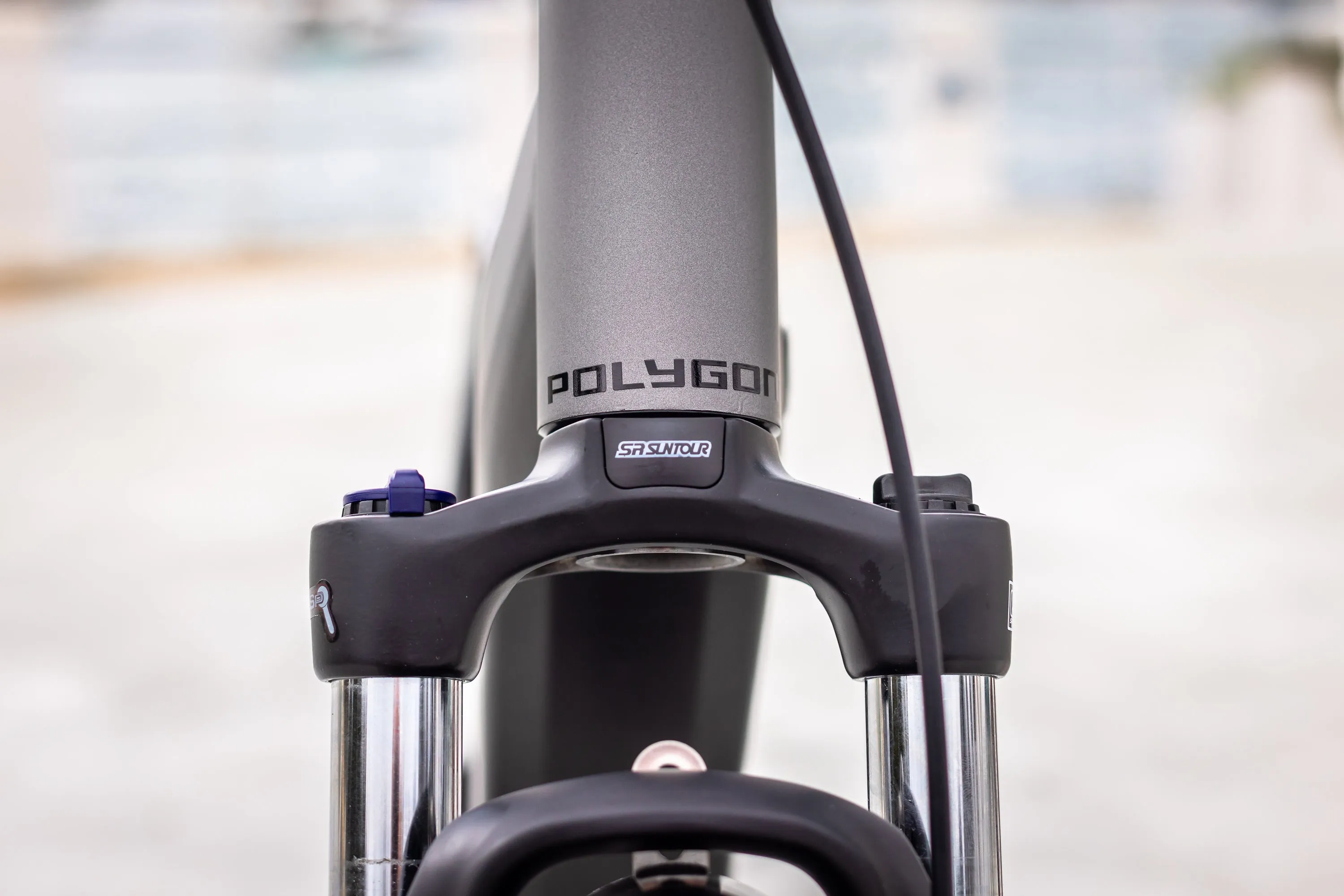 Polygon Kalosi Altera - Urban eBike [New]