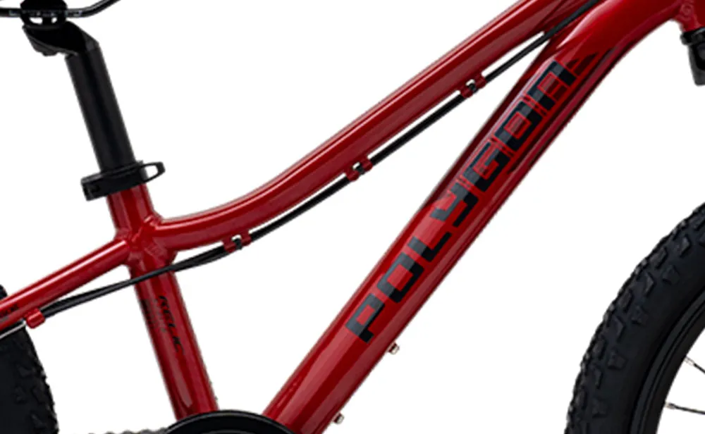 Polygon Relic 20 - Kids Mountain Bike