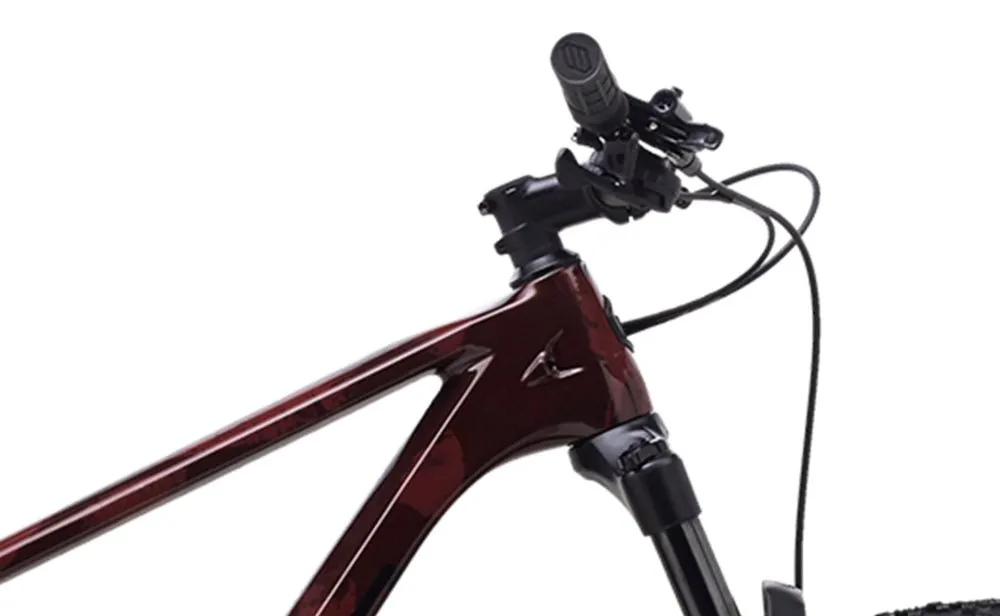 Polygon Syncline C3 - Carbon Mountain Bike