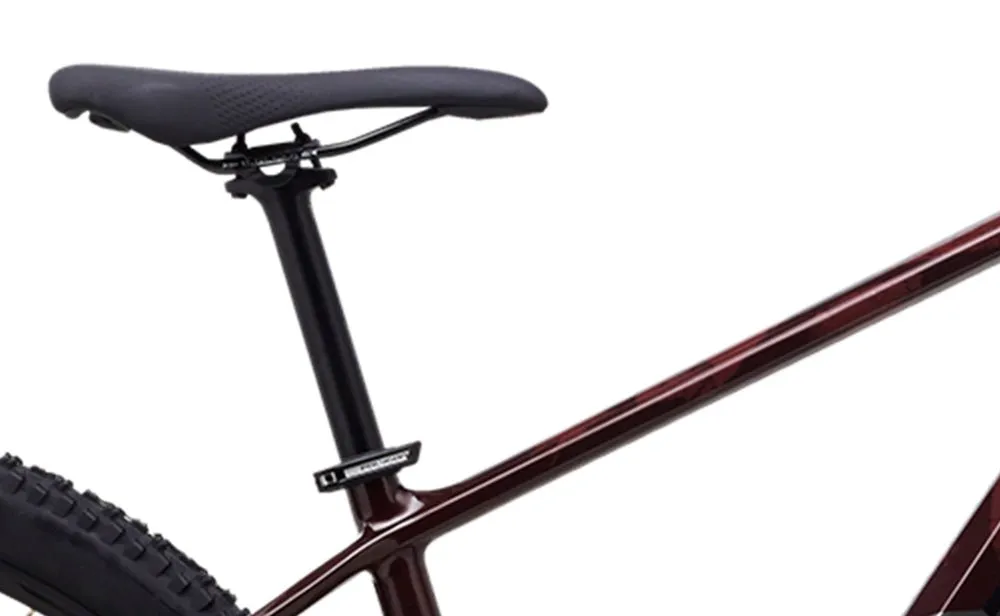Polygon Syncline C3 - Carbon Mountain Bike