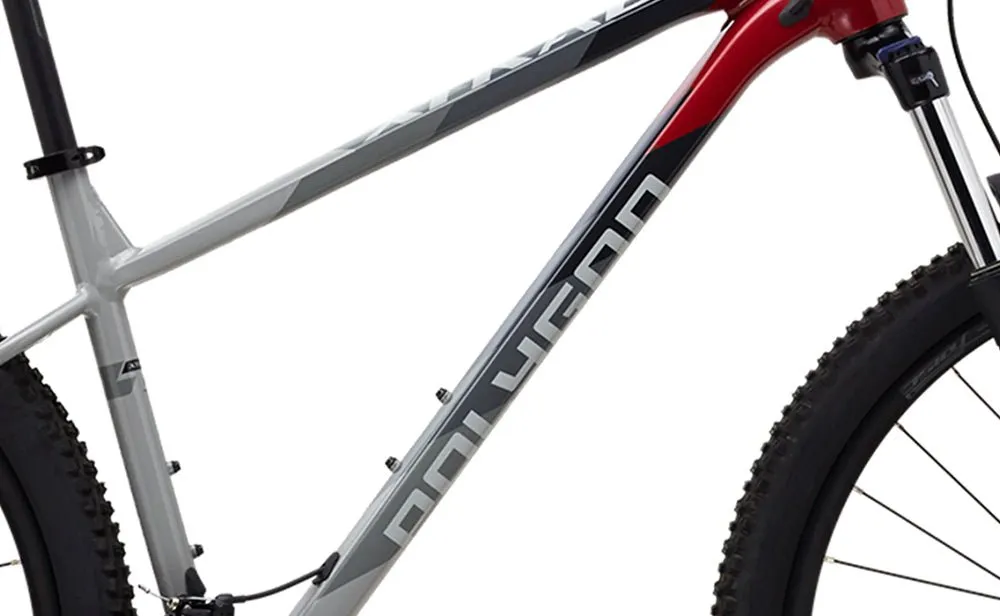 Polygon Xtrada 5 - Mountain Bike