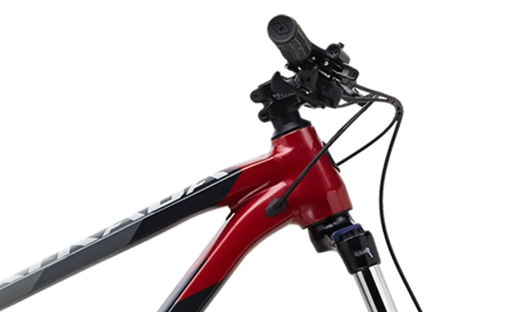 Polygon Xtrada 5 - Mountain Bike