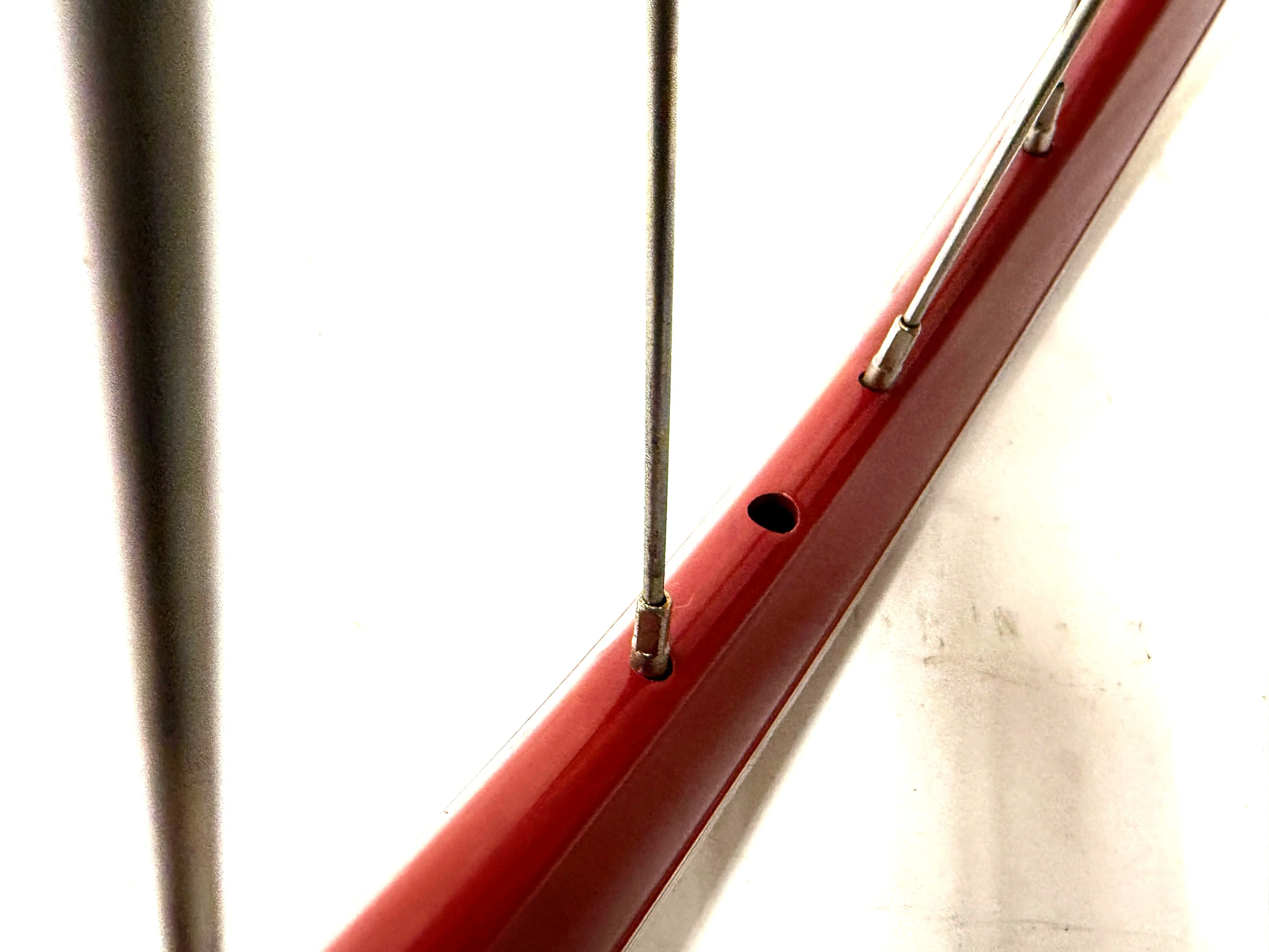 Single Speed Red Rear Wheel 700c 32 Spoke 17t Freewheel   Thick Slick WTB Tire